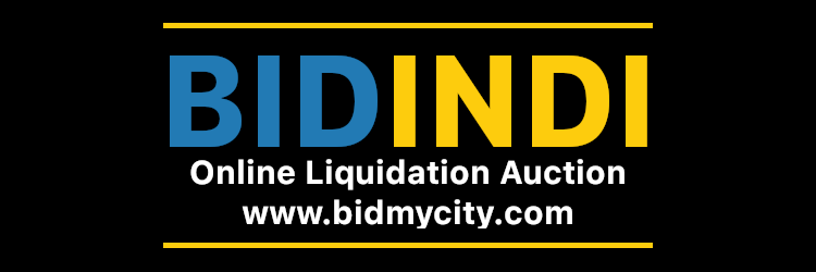 BidEVV Liquidation Auction