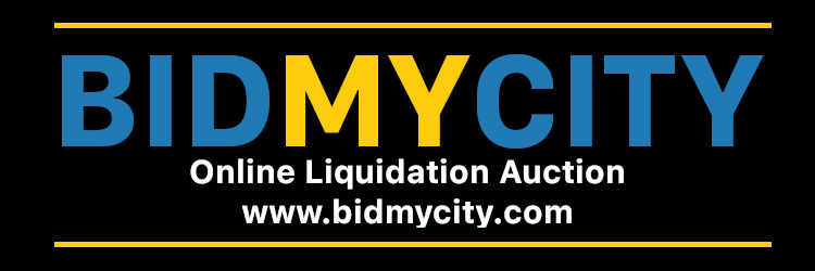 BidEVV Liquidation Auction