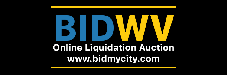 BidEVV Liquidation Auction