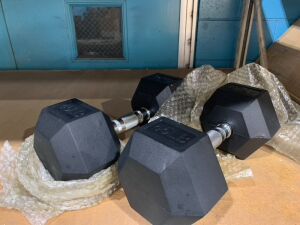 Set of 45 lb Dumbbells  