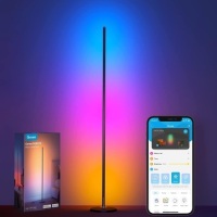 Govee RGBIC Floor Lamp, LED Corner Lamp, Missing Power Cable