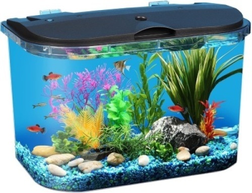 Koller Products PanaView 5-Gallon Aquarium Kit,&nbsp;Power Filter, LED Lighting with Multiple Colors - Appears New&nbsp;&nbsp;