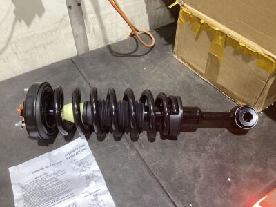 Complete Strut Assembly, Unknown Fit 