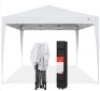 Outdoor Portable Pop Up Canopy Tent w/ Carrying Case, 10x10ft