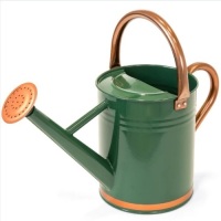 1-Gallon Galvanized Steel Watering Can w/ O-Ring, Top Handle