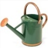 1-Gallon Galvanized Steel Watering Can w/ O-Ring, Top Handle