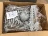 Skeleton Decoration