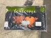 Box of 4 Pumpkin Welcome Mats