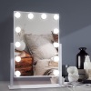 20 Inch Lighted Makeup Vanity Mirror