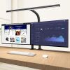 EppieBasic LED Desk Lamp with Clamp 