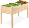 Elevated Wooden Planter Box