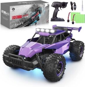 LARVEY 2WD 1:16 Scale Purple Remote Control Car, 20 Km/h High Speed with LED Headlights and Chassis Lights