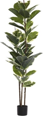 Artificial Rubber Tree Plant