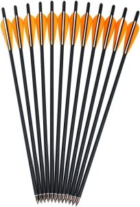 Kikzok 12 Pack Crossbow Bolts Carbon Arrows, 16 Inch 