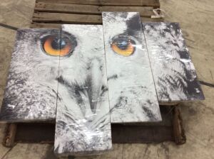 Owl Wall Canvas 