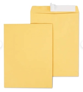 Staples EasyClose Catalog Envelopes, 10"L x 13"H, 5 Boxes, 100/Box