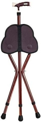 Folding Cane Seat