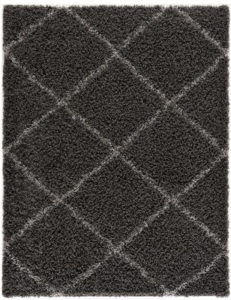 Moon Trellis Shaggy Dark Gray 2 ft. x 3 ft. Area Rug - Appears New 