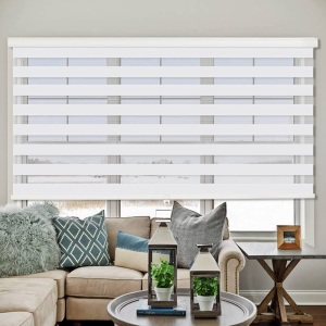 ZOKSUN Cordless Zebra Roller Shade Blinds, 72" W x 72" H, White