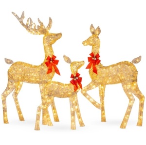 3-Piece Lighted Christmas Deer Set Outdoor Decor with LED Lights 