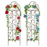 Set of 2 Iron Arched Garden Trellis&nbsp;