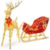 Lighted Christmas Reindeer & Sleigh Outdoor Decor Set w/ LED Lights 