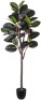 Lot of (3)&nbsp;Wofair&nbsp;5' Artificial Fiddle Trees - New