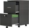 Koifuxii 2 Drawer File Cabinet with Lock