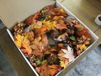 Montgomery Hollow Silk Fall Door Wreath&nbsp;