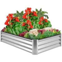Outdoor Metal Raised Garden Bed for Vegetables, Flowers, Herbs
