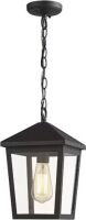 Zeyu Outdoor Pendant Light, Black Finish with Clear Glass