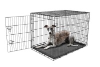 Carlson Pet Products Secure and Foldable&nbsp;Single Door Large&nbsp;Metal Dog Crate, 42" x 28" x 30" - Appears New&nbsp;