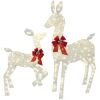 2-Piece Lighted Christmas Deer Set Outdoor Yard Decoration with 210 LED Lights, Stakes