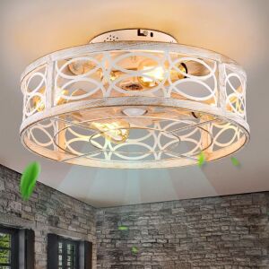 HUEOCZW 20" Caged Ceiling Fan with Light