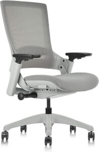 CLATINA Swivel Adjustable Ergonomic Computer Chair with 3D Armrest and Lumbar Support