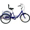 VEVOR 24’’ Wheels Foldable Adult Tricycle 1-Speed 