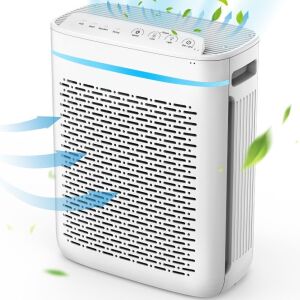 Homasy Air Purifier for Home, True HEPA Filter with 3-Stage Efficient Filtration System 