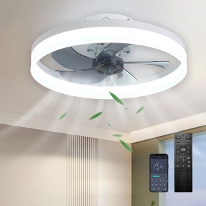 20" Ceiling Fan with Lights Remote Control, Modern Enclosed Bladeless Ceiling Fan, Dimmable LED 3 Color 6 Speeds Timing Reversible Blades, Indoor Flush