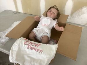 Pinky Lifelike Reborn Baby Doll 