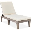 Outdoor Patio Lounge Chair, Resin Chaise Lounger w/ Seat Cushion, 5 Positions 62"(L) x 22.6"(W) x 34.5"(H)