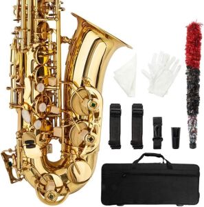 Ktaxon Alto Saxophone Drop E Brass Sax Full Kit for Student Beginners with Carving, Mouthpiece, Carrying Case, Gloves, Cleaning Cloth Bar, Detachable Strap, Shoulder Strap, Reed, Lacquered