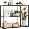 DCLRN Metal Industrial Console Table with Storage Rack 