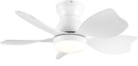 Wellspeed 30 inch&nbsp;Ceiling Fan with Lights