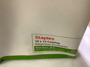 Staples 10X 13 Catalog EasyClose Envelopes White wove 250 envelopes