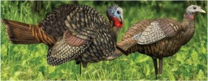 Avian-X LCD 1/2 Strut Jake and Breeder Hen Turkey Decoy Combo - E-Commerce Return, Unknown Condition 