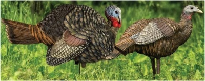 Avian-X LCD 1/2 Strut Jake and Breeder Hen Turkey Decoy Combo - E-Commerce Return, Unknown Condition 