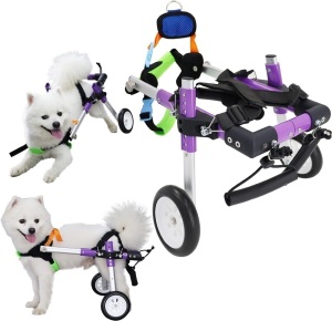 HobeyHove Adjustable Dog Wheelchair for Back Legs，Pet/Doggie Doggy Wheelchairs with Disabled Hind Legs Walking (XS-A)