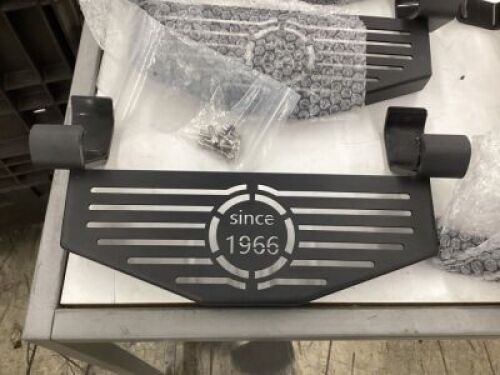 Side Steps for 2021-2023 Ford Branco&nbsp;