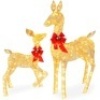 2-Piece Lighted Christmas Deer Family Outdoor Decor Set with LED Lights&nbsp;