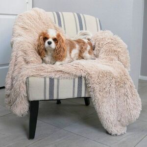 Alpha Paw PawProof Dog Throw Blanket 48" x 56" 